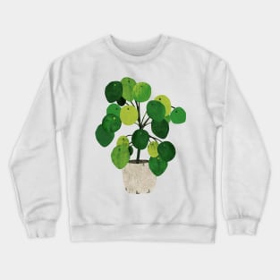 Pilea Peperomioides interor plant Crewneck Sweatshirt